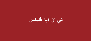 تي ان ايه فليكس